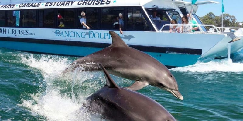 Photograph of Top 10 camping areas with powered sites near Baldivis, WA