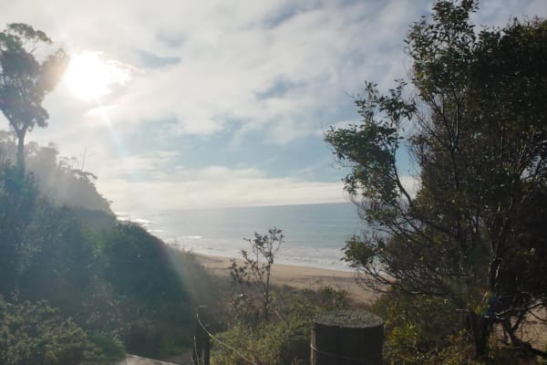 Photo by Sarah Jane Hill