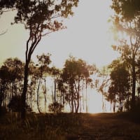 Photo by Wildflower and her Wildlings