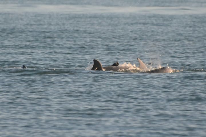 Photo by @ode2theroad