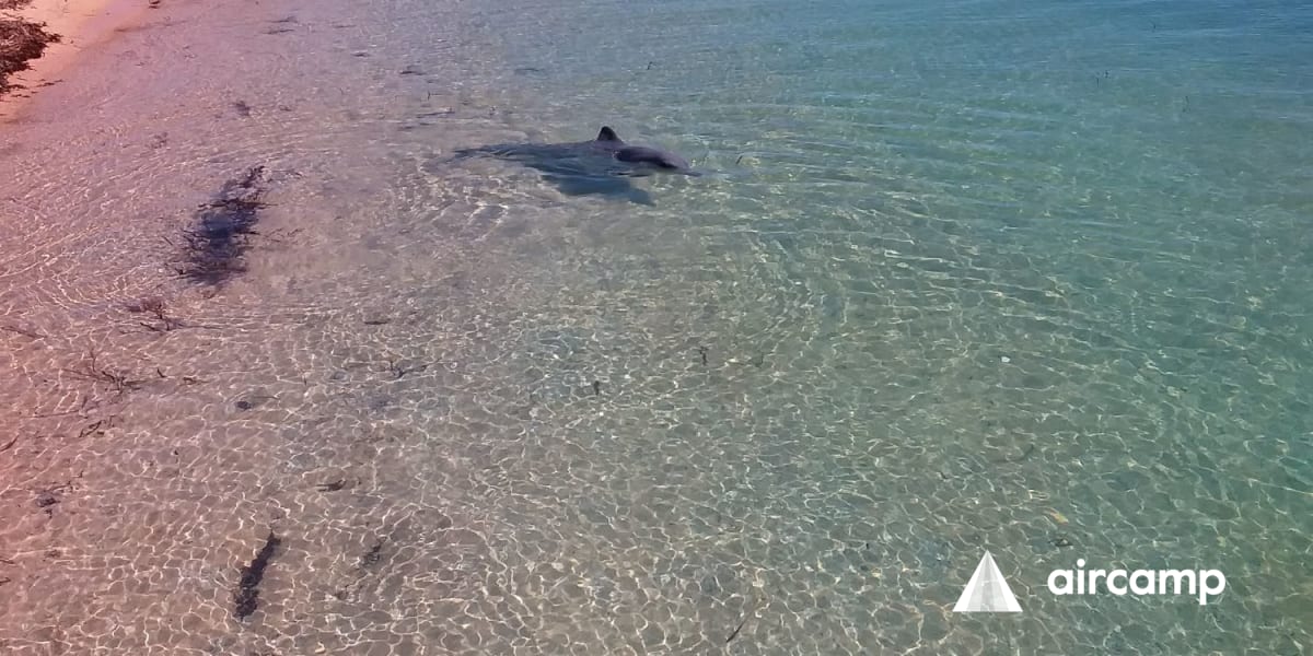 Shark Bay Caravan Park