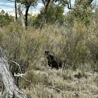 Photo by Chelsea and Jye