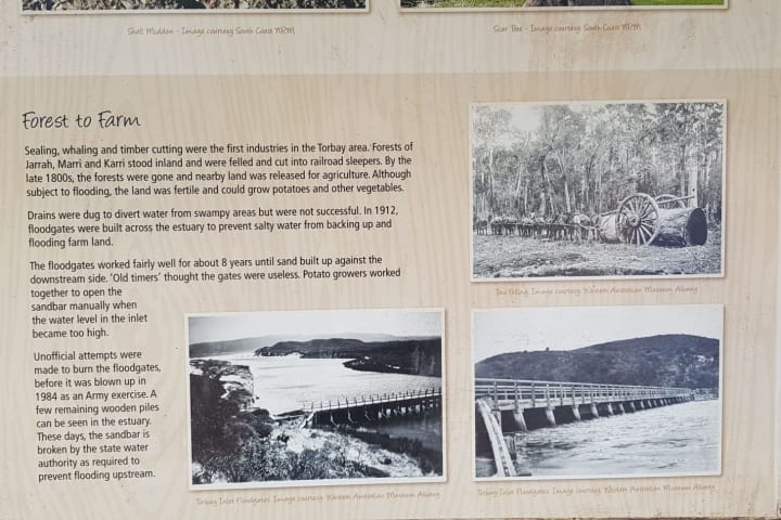 Photo by Carolyne H.