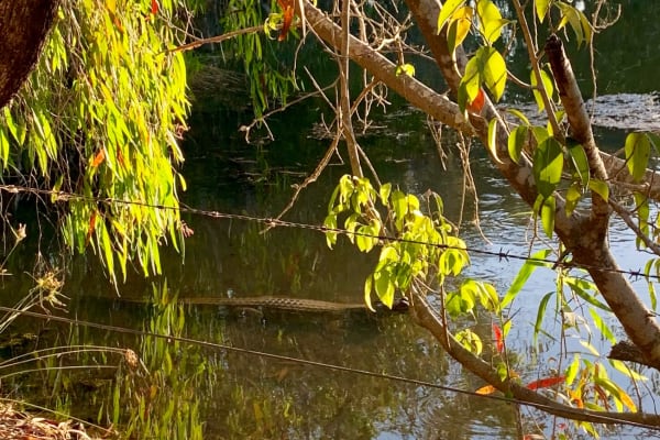 Photo by Corporate to Caravan