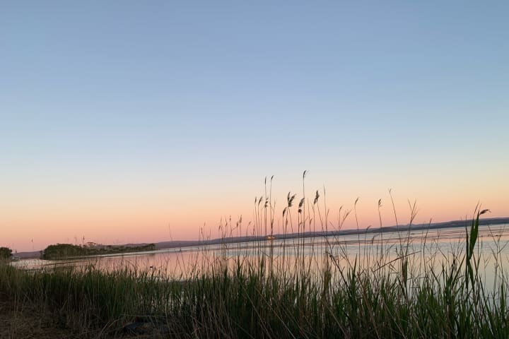 Photo by Catarina A.