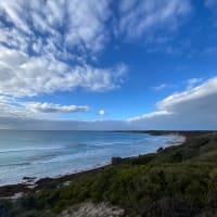 Photo by Brittany B.