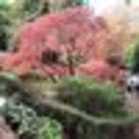 Photo of Gillian Matthews Davenport