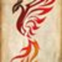 Photo of Samantha F.