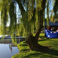 Photo of Katrina Freckleton