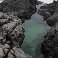 Photo of Mitchell H.