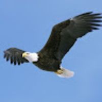 Photo of Samantha J.