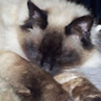 Photo of Peter Raye Bright and Judy Bright