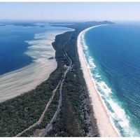 Photo of Margaret Shannon