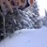 Photo of Federico G.