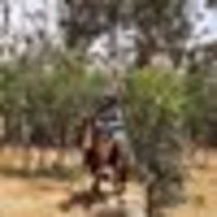 Photo of Kristine B.