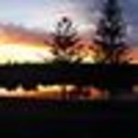 Photo of Michelle C.