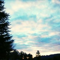 Photo of Camp Crusty