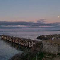 Photo of AnthonyNash