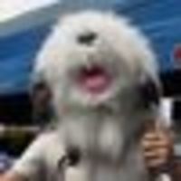 Photo of James Ashley Harriman