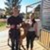 Photo of Jay van der Meer