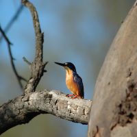 Photo of Gary Duggan