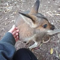 Photo of Ashleigh D.