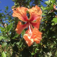 Photo of John Morrow