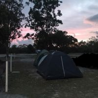 Photo of Cheyenne t.