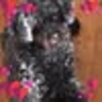 Photo of Kimberly A.