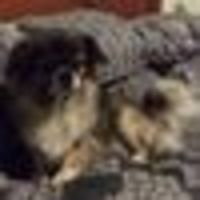 Photo of Chris P Goodwin