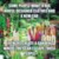 Photo of Mick Fleet Wood