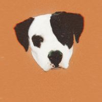 Photo of Ashleigh W.