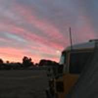 Photo of Donna Shayne Wilkes