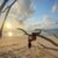 Photo of Dominga Margozzini Valdes