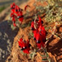 Photo of Genevieve K.