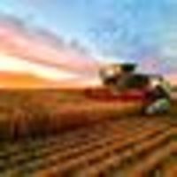 Photo of Jacques Bul Delport