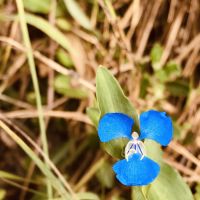 Photo of Spiritual M.