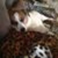 Photo of Jeanette Lehmann Bertalli