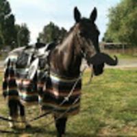 Photo of Michelle B.