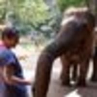 Photo of Elisabetta S.