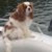 Photo of Mary-anne N.