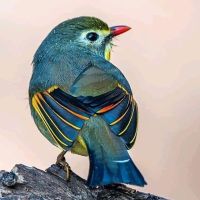 Photo of Elizabeth S.