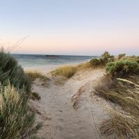 Photo of Wanderlustlingerson