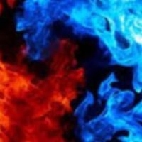 Photo of Meridith B.