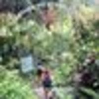 Photo of Danielle G.