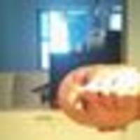 Photo of Angelo P Trotta