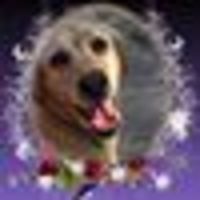 Photo of Rhiannon C.