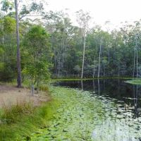 Photo of Milton & Levella Watkins