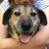 Photo of Danielle A.