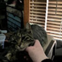 Photo of Kymberly M.